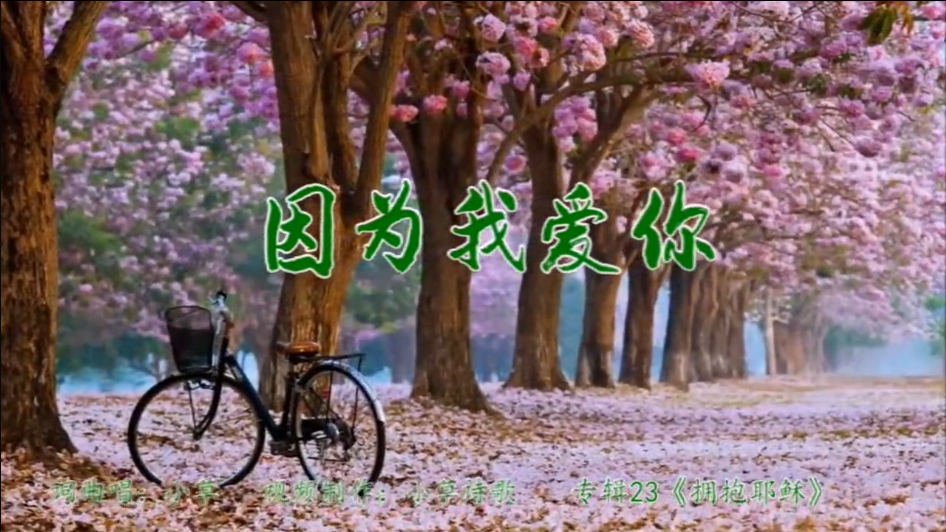 因为我爱你