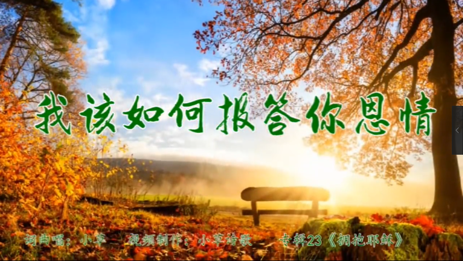 我该如何报答你恩情