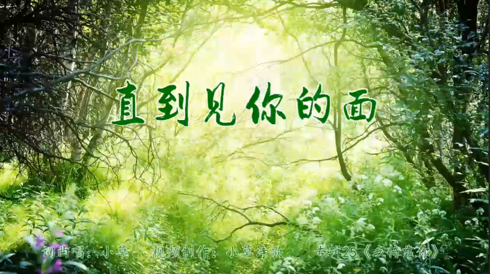 直到见你的面