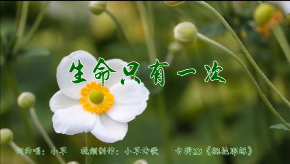 生命只有一次