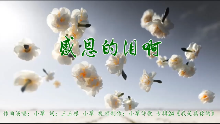 感恩的泪啊