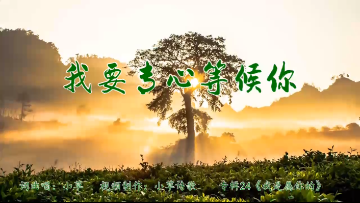 我要专心等候你