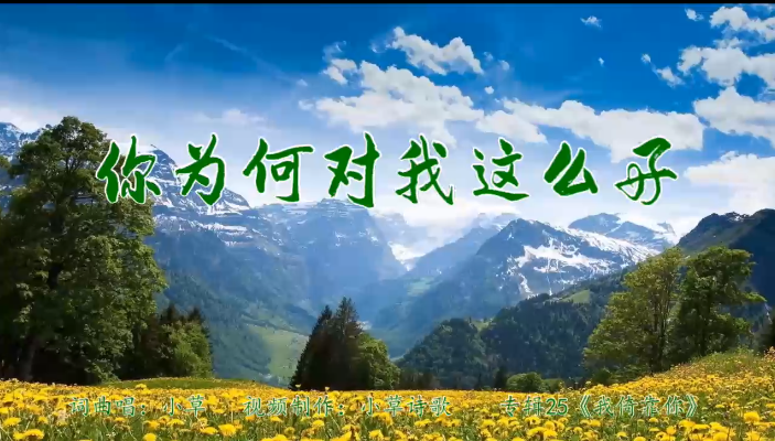 你为何对我这么好
