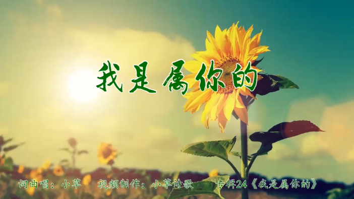 我是属你的