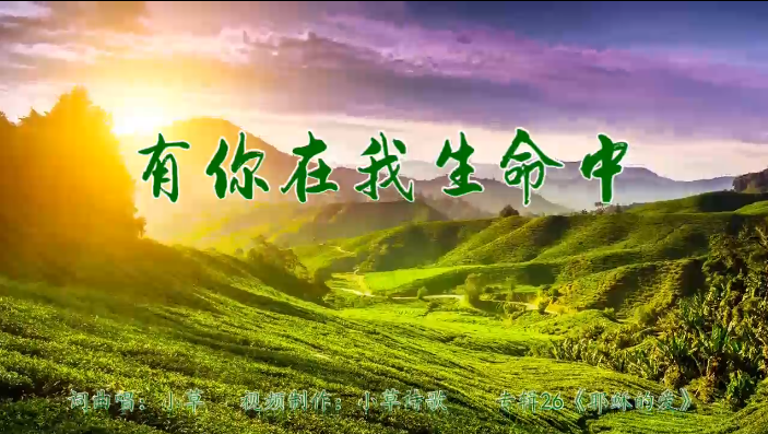 有你在我生命中