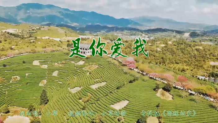 是你爱我