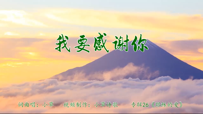 我要感谢你