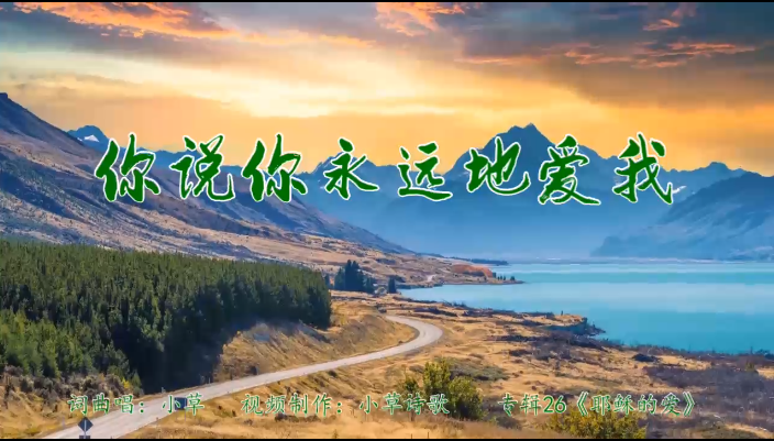你说你永远地爱我