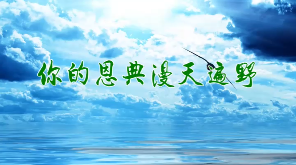 你的恩典漫天遍野